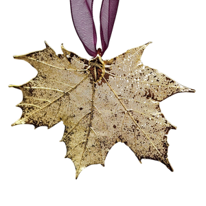 Gold Sugar Maple Leaf with Sheer Ribbon Ornament