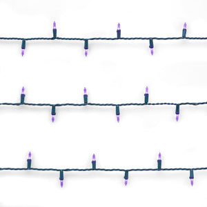 Purple LED String Lights - 100 Light - Green Wire