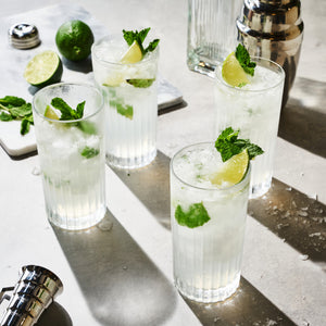Reserve milo crystal highball glasses viski®