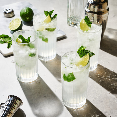 Reserve milo crystal highball glasses viski®