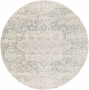 Rachel Area Rug Medium Pile Polypropylene Traditional