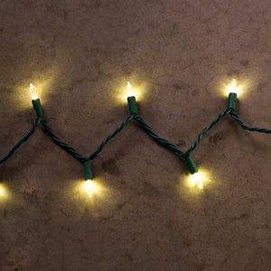Warm White LED String Lights - 100 Light - Green Wire