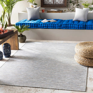 Revillo Area Rug - Clearance