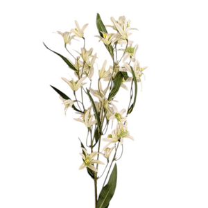 White Jasmine Stem - 29 Inch