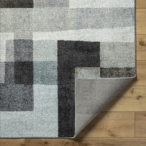 Raisa Area Rug - Clearance