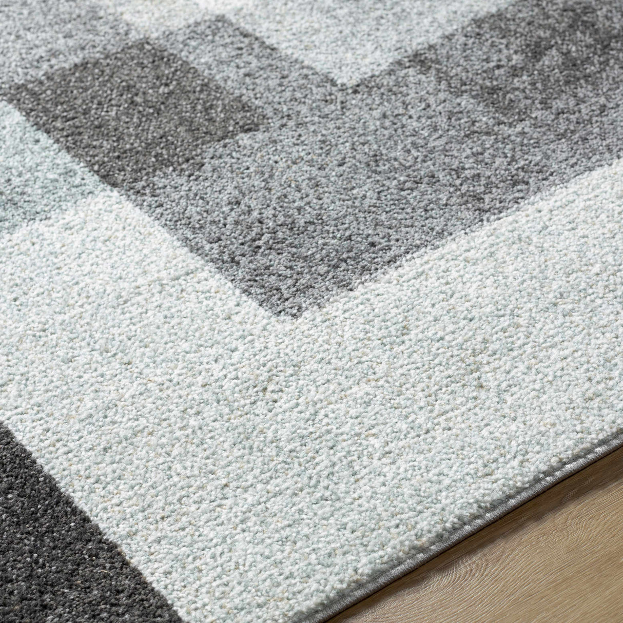 Raisa Area Rug - Clearance