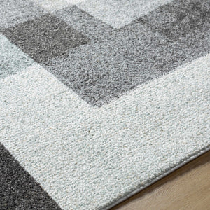 Raisa Area Rug - Clearance