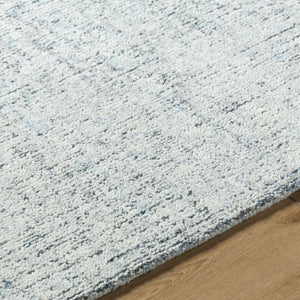 Rhory Light Blue Area Rug - Clearance