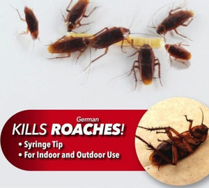 Roach Doctor Cockroach Killing Paste Syringe – Non-Toxic Glue Bait