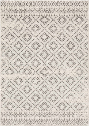 Romeoville Area Rug - Clearance