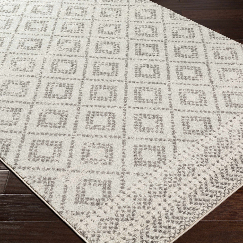 Romeoville Area Rug - Clearance
