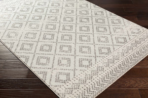 Romeoville Area Rug - Clearance