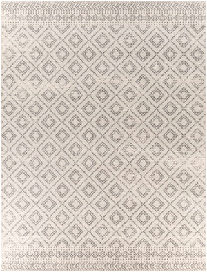 Romeoville Area Rug - Clearance
