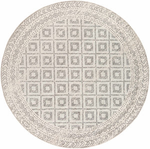 Romeoville Area Rug - Clearance