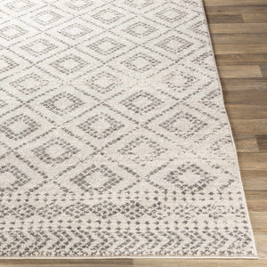 Romeoville Area Rug - Clearance