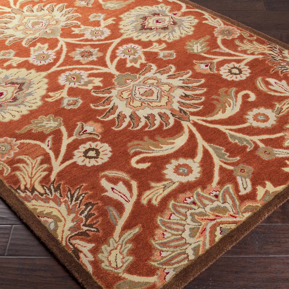 Conesus Hand Tufted Rust 1062 Area Rug - Clearance