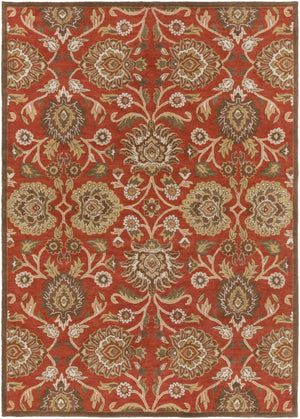 Conesus Hand Tufted Rust 1062 Area Rug - Clearance