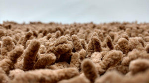DaDa Bedding Coffee Brown Shaggy Soft Chenille Noodle Carpet Rug Bath Mat