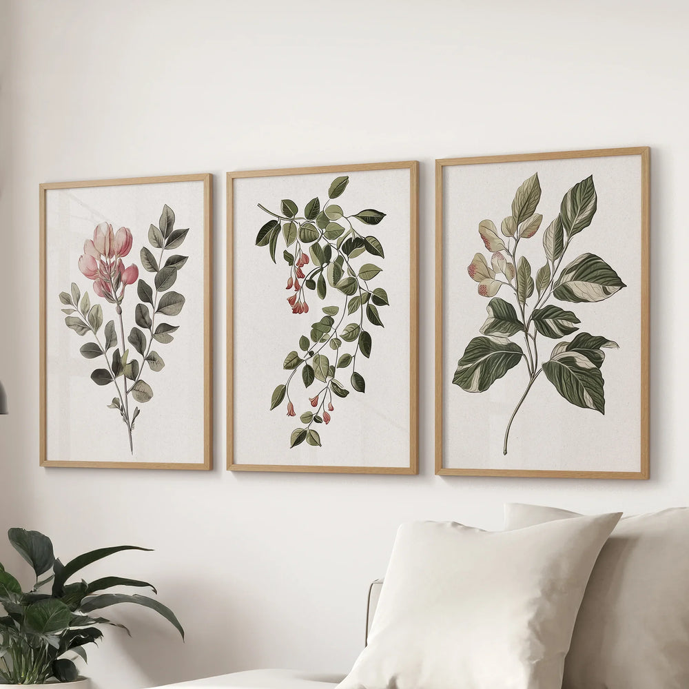 Floral Set of 3 Piece Wall Art. Magnolia, Honeysuckle Prints