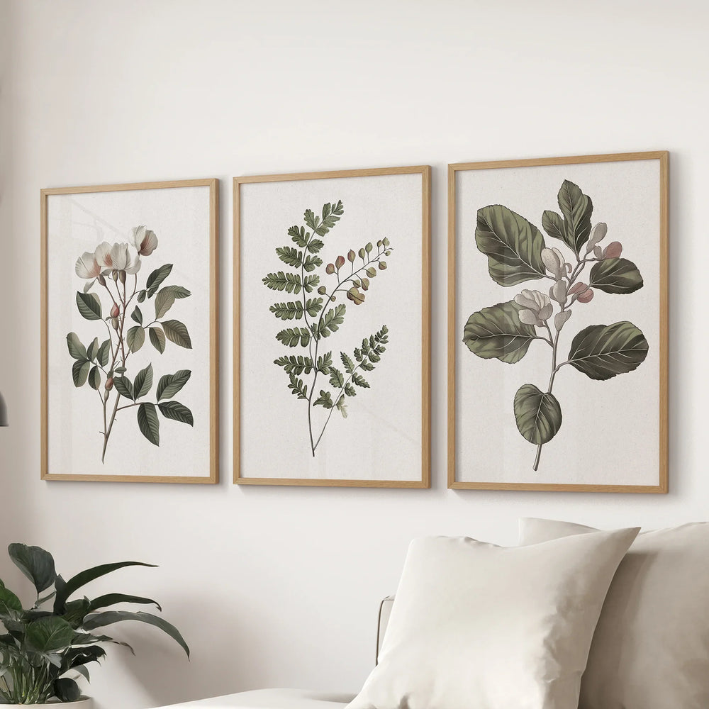 Minimalist Lithographic Plants Prints. 3 Piece Botanical Art