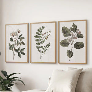 Minimalist Lithographic Plants Prints. 3 Piece Botanical Art