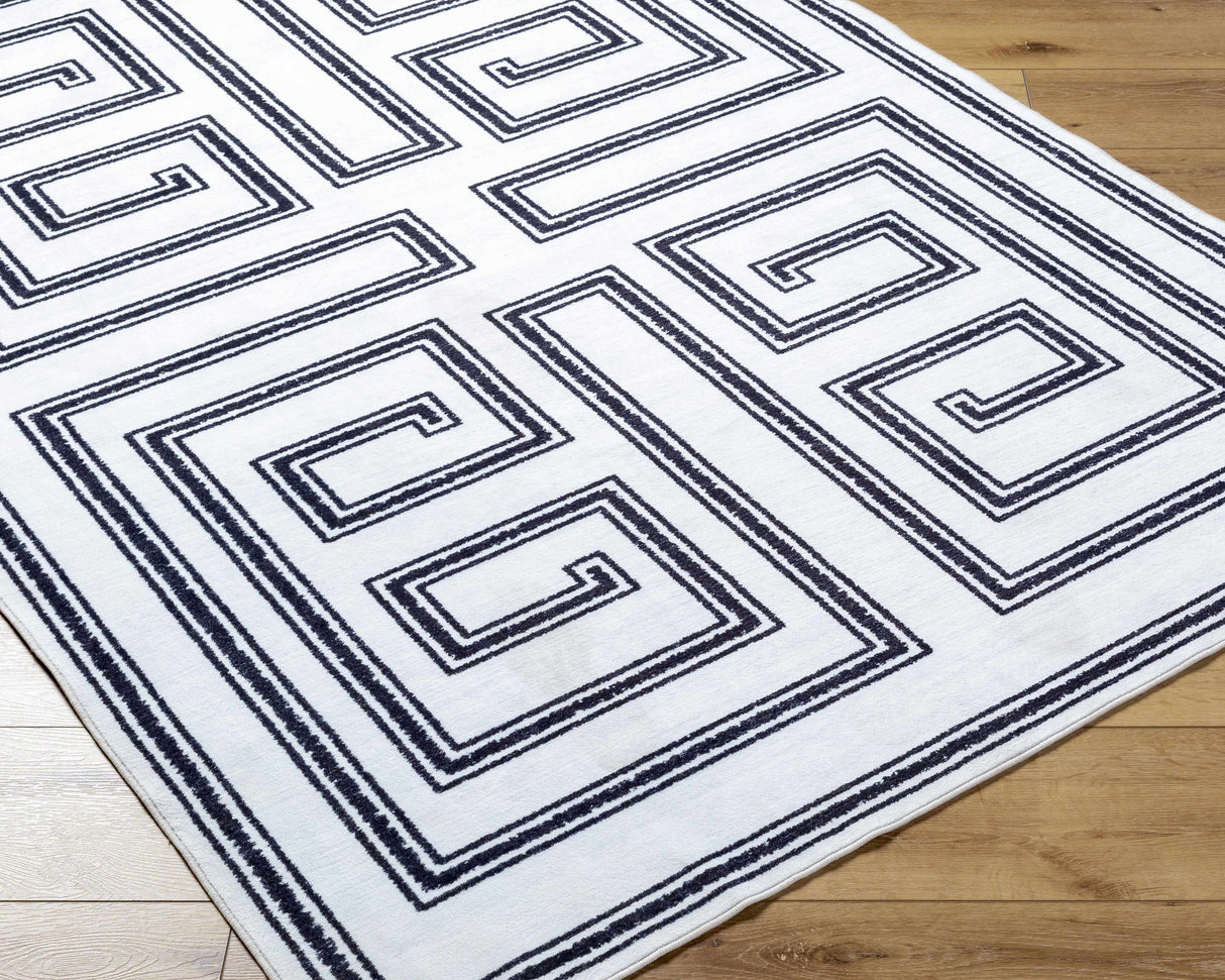 Rorah Washable Area Rug