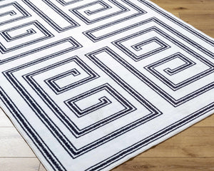 Rorah Washable Area Rug