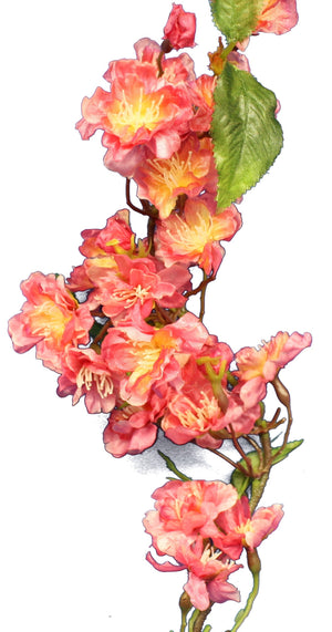 Pink Cherry Blossom