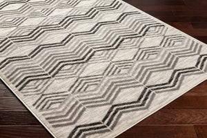 Saar Area Rug - Clearance