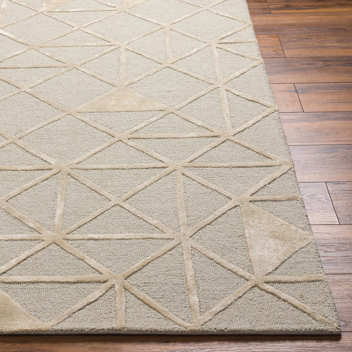 Botiu Blue Geometric Hand Tufted Wool Area Rug - Clearance