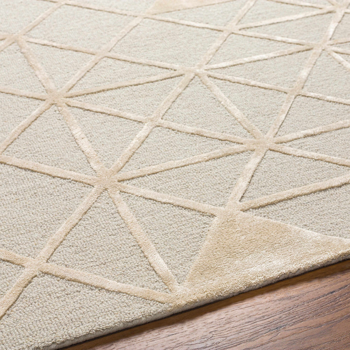Botiu Blue Geometric Hand Tufted Wool Area Rug - Clearance
