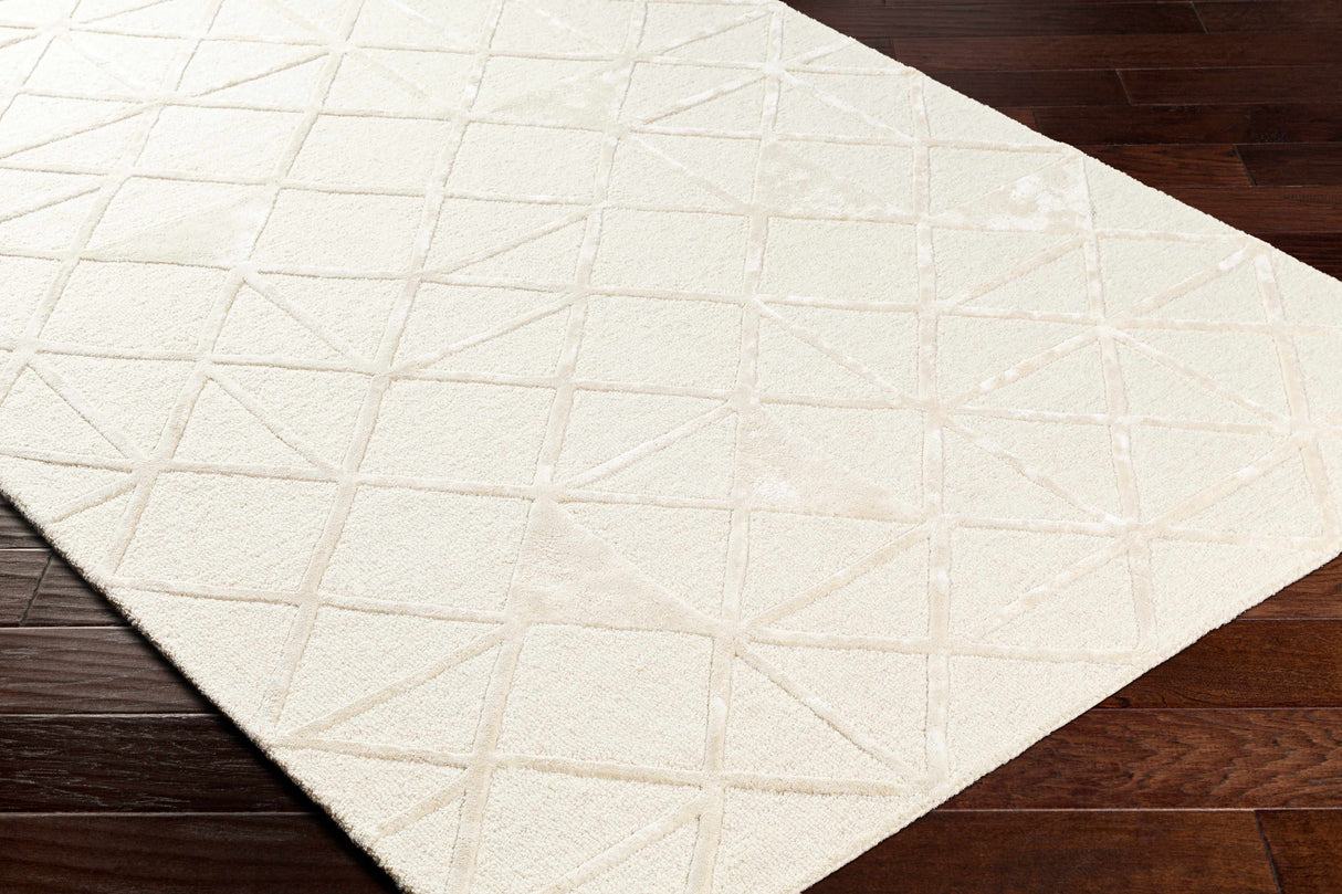 Jevau Beige Geometric Hand Tufted Wool Area Rug - Clearance