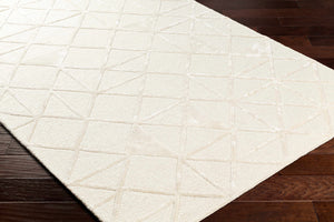 Jevau Beige Geometric Hand Tufted Wool Area Rug - Clearance