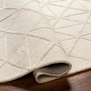 Jevau Beige Geometric Hand Tufted Wool Area Rug - Clearance