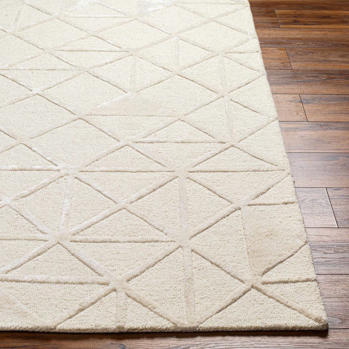 Jevau Beige Geometric Hand Tufted Wool Area Rug - Clearance