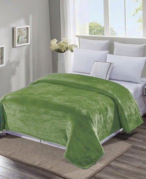 Decor&More Home Essentials Solid Microplush Blanket