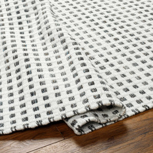 Bence Black & White Area Rug - Clearance