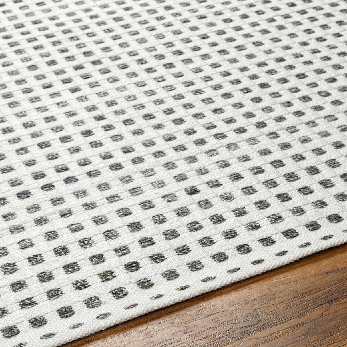 Bence Black & White Area Rug - Clearance
