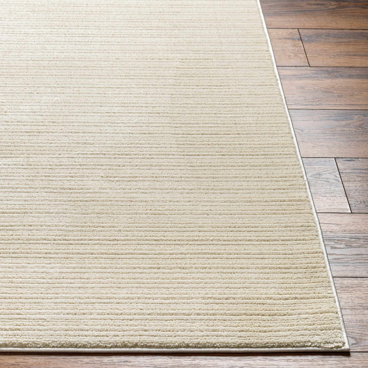 Kini Plush Textured Washable Rug