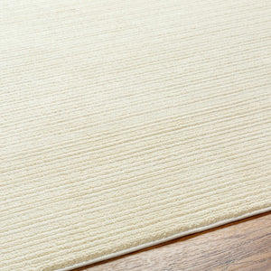 Kini Plush Textured Washable Rug