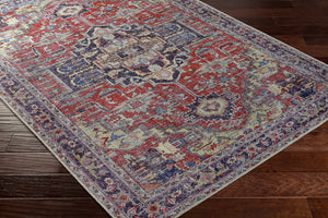 Reza Red Washable Rug - Clearance