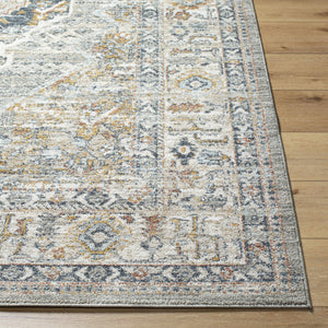 Jyler Traditional Area Rug