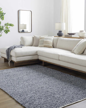 Kamil Area Rug - Clearance