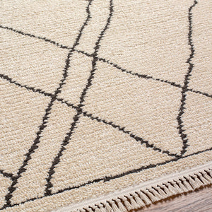 Ausca Area Rug - Clearance