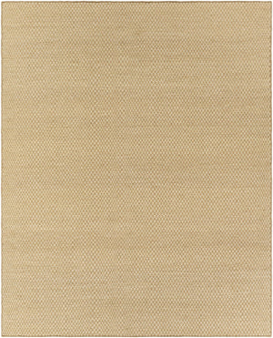 Ayers Beige Area Rug - Clearance