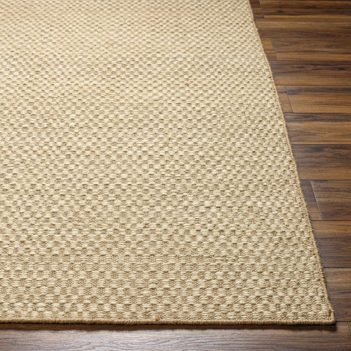 Ayers Beige Area Rug - Clearance