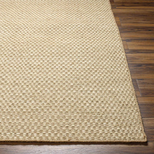 Ayers Beige Area Rug - Clearance