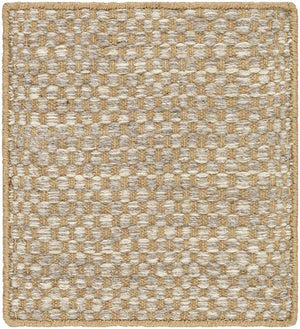 Ayers Beige & Gray Area Rug - Clearance