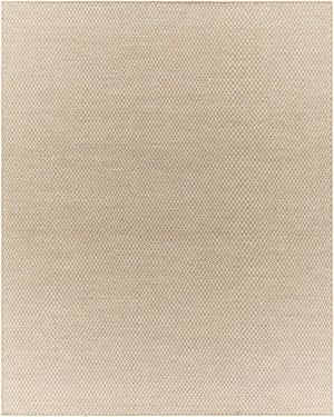 Ayers Beige & Gray Area Rug - Clearance