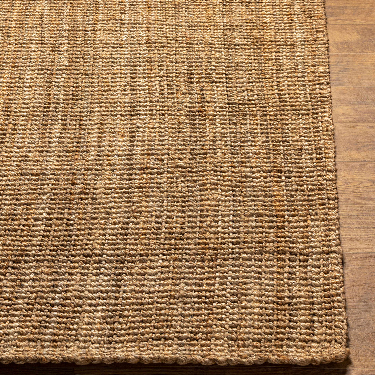 Ambel Chocolate Brown Camel Jute Area Rug